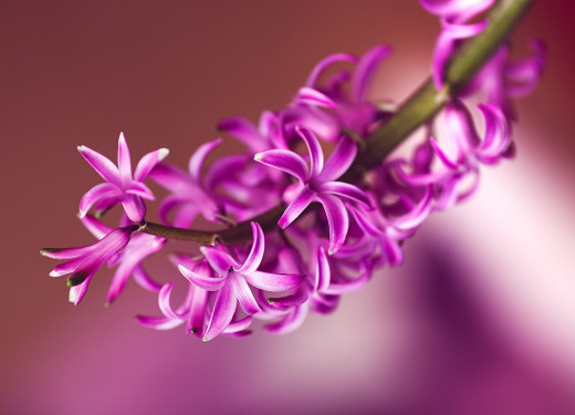1028259 (a): :2560x1844